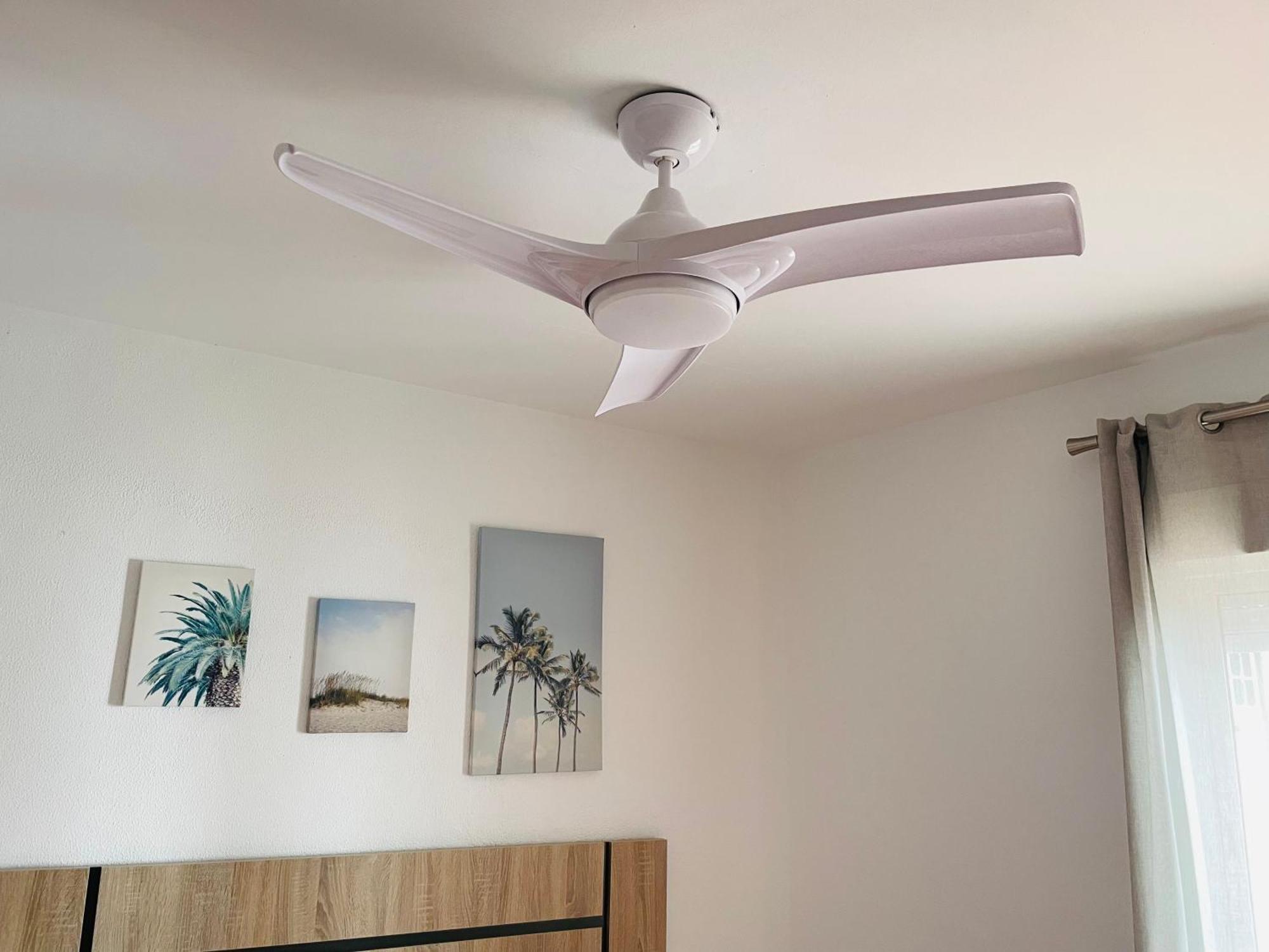 Apartamento Conil Centro Y Playa, Descanso Perfecto, Con Aire Acondicionado Y Wifi Conil De La Frontera Exteriör bild